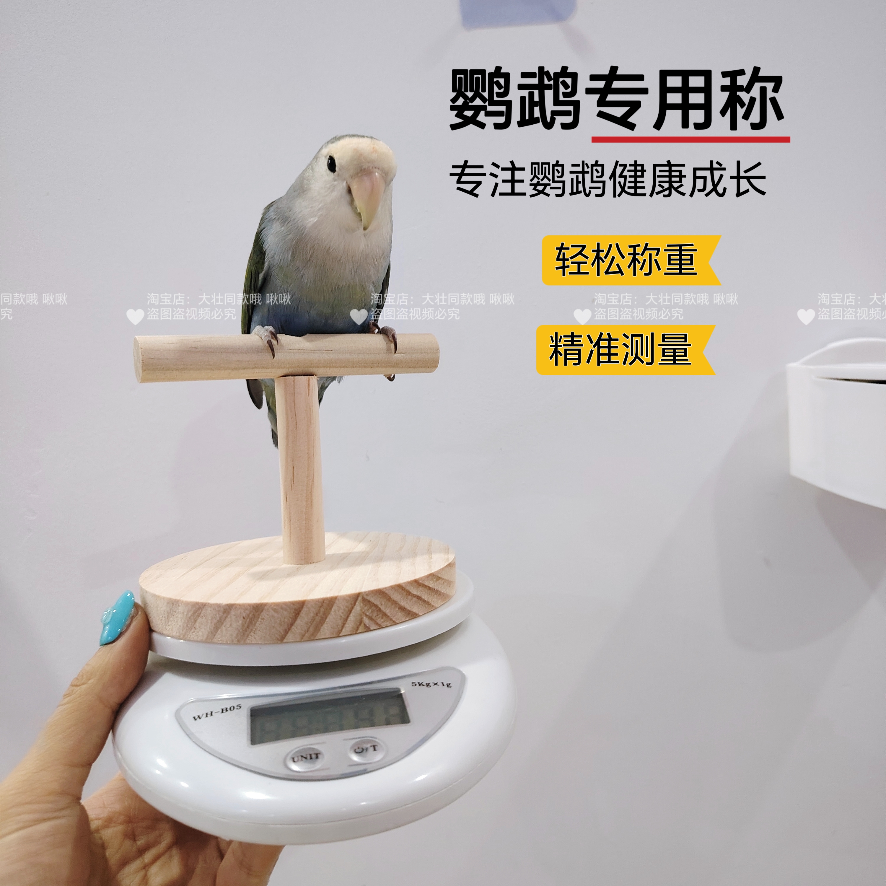 鹦鹉专用体重秤鸟用电子秤玄凤虎皮牡丹饲料鸟粮奶粉喂药称重