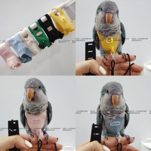 一片式舒适款虎皮牡丹玄凤鹦鹉鸟衣服小背心衣服飞行背带放飞绳