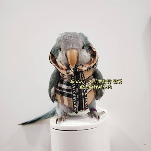 格子棉衣款鹦鹉棉服服鸟衣服鹦鹉棉外套玄凤加厚保暖外出服鹦鹉鸟