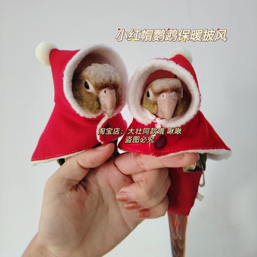 小红帽款鸟衣服鹦鹉披风玄凤加厚保暖外出服鹦鹉用品鸟用品