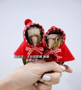 包邮 薄款 外出服拍照斗篷 鸟衣服鹦鹉披风玄凤春款 小红帽