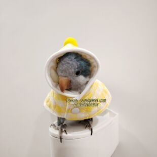 加棉款鸟衣服鹦鹉披风玄凤加厚保暖外出服鹦鹉用品鸟用品