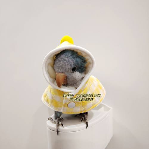 加棉款鸟衣服鹦鹉披风玄凤加厚保暖外出服鹦鹉用品鸟用品
