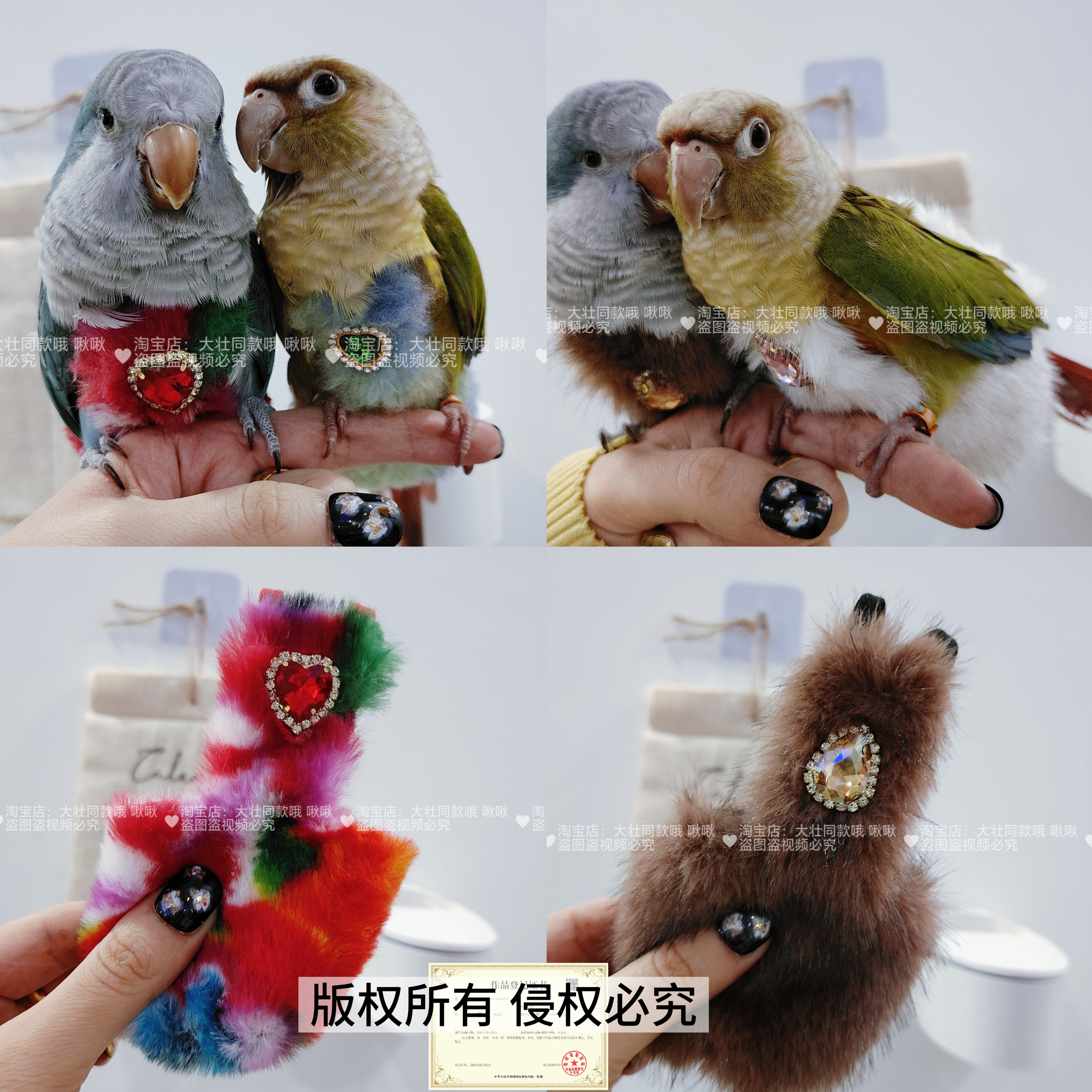 鹦鹉加绒加厚外出服冬季保暖毛绒绒弹力肩带牡丹鸟衣服屎兜尿不湿,宠物/宠物食品及用品,鸟禽服饰,淘宝优惠券,粉丝福利购,淘宝优惠卷