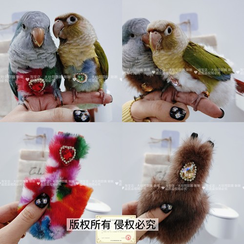 鹦鹉加绒加厚外出服冬季保暖毛绒绒弹力肩带牡丹鸟衣服屎兜尿不湿