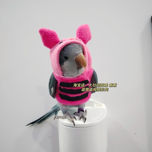 小猪款鸟衣服玄凤鹦鹉小中型鸟保暖用品加厚款衣服飞行服鹦鹉