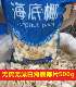 海底椰片500g 新鲜海底椰 糖水煲汤料泰国特产海底椰子广东炖汤料
