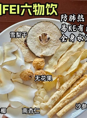 润FEI六物饮沙参无花果雪梨杏仁玉竹生津水海底椰儿童内热清心汤