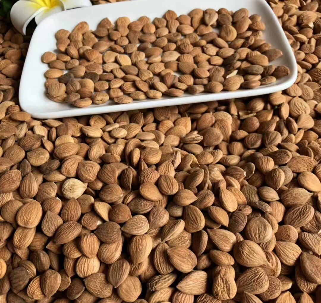 承德特产新货农家苦杏仁500g广东煲汤材料干货没去皮生的北杏