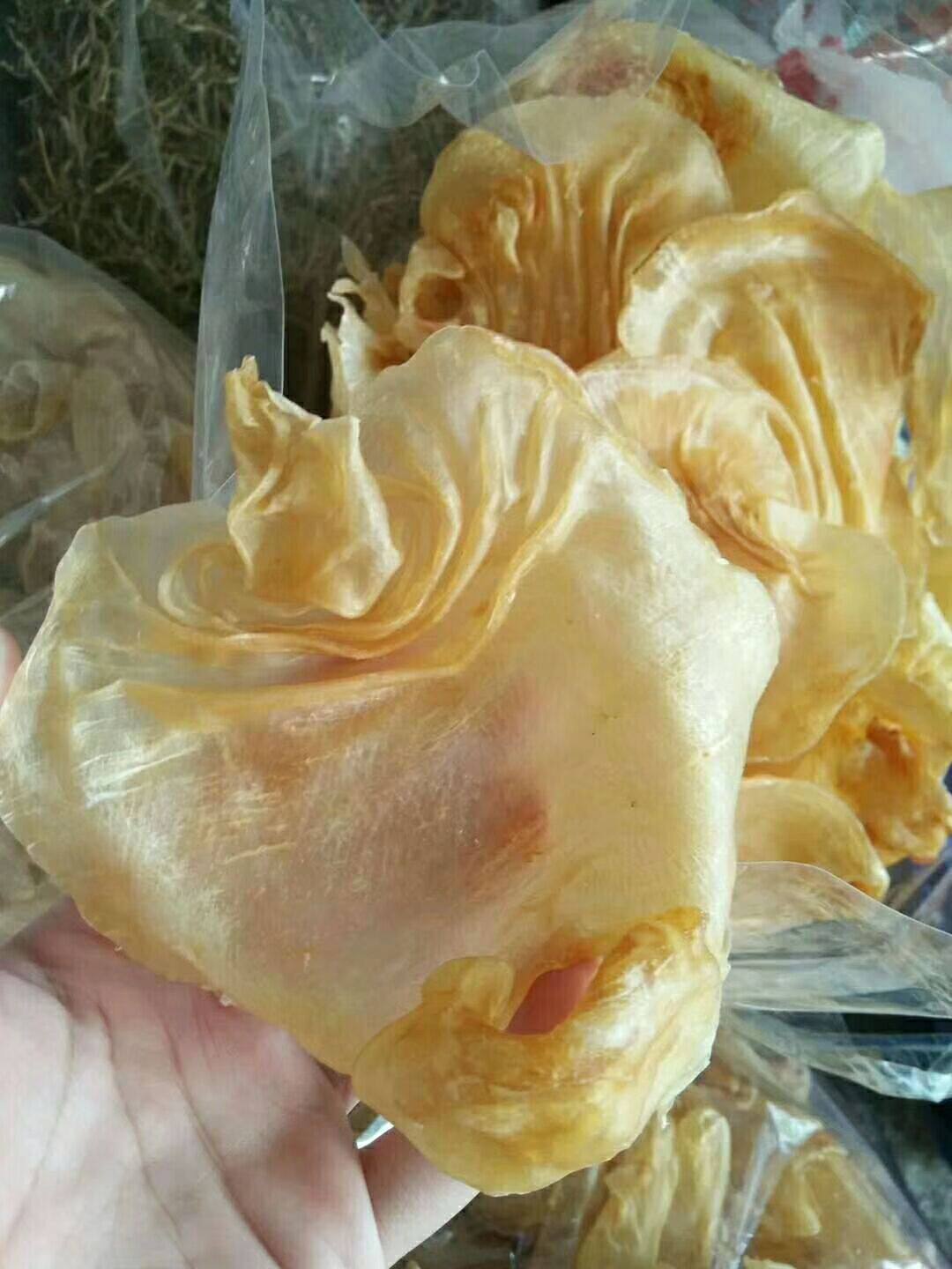 滋补鱼胶湛江赤嘴鳘鱼胶公肚深海花胶产后恢复孕妇坐月子滋补100g