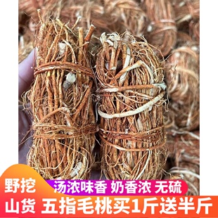 五指毛桃根粤北山区特产五爪龙无硫新鲜干货山货牛奶根配土茯苓片