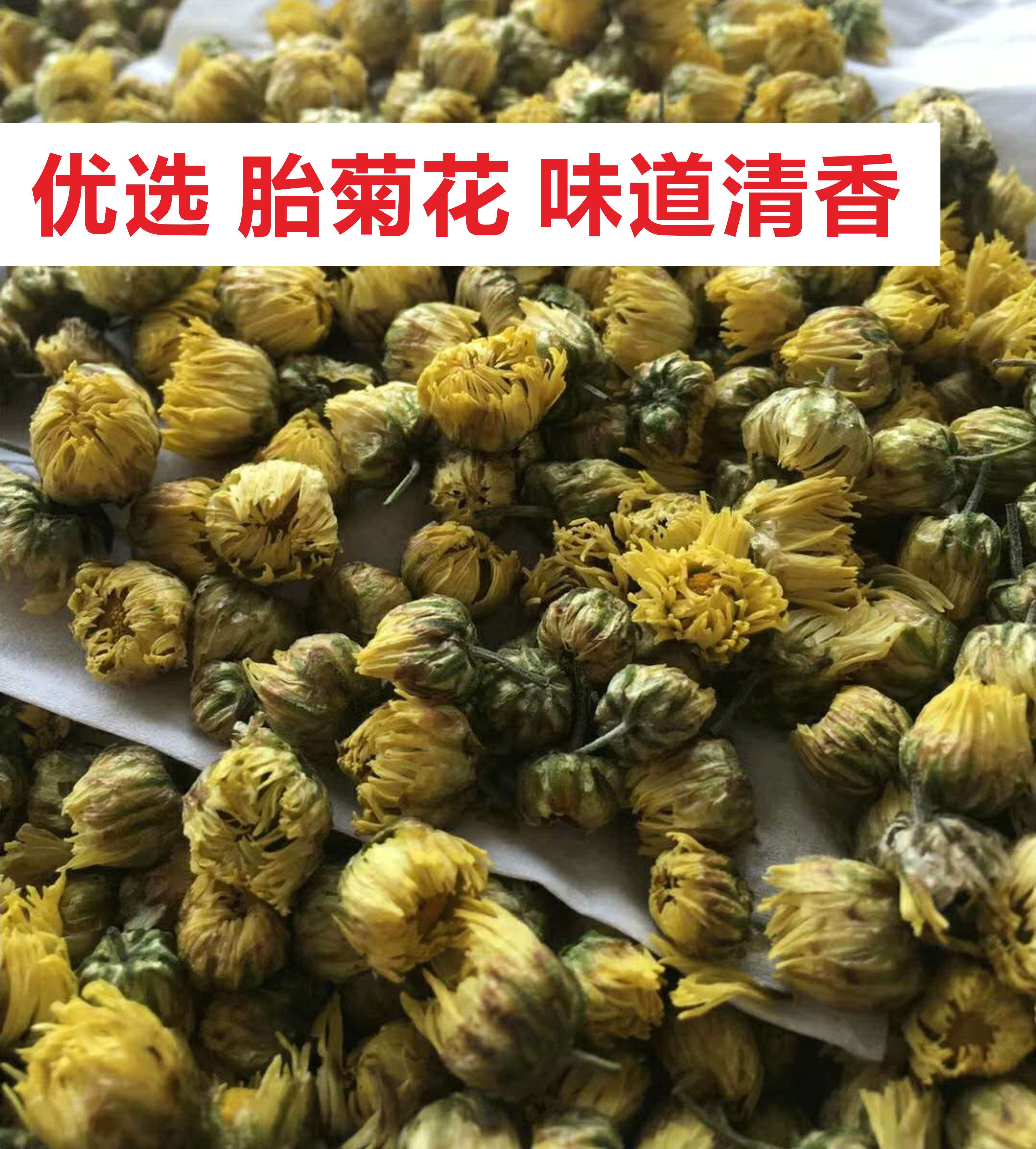 胎菊王胎菊花250g头采特级正宗桐乡菊花少火花茶搭配金银花决明子