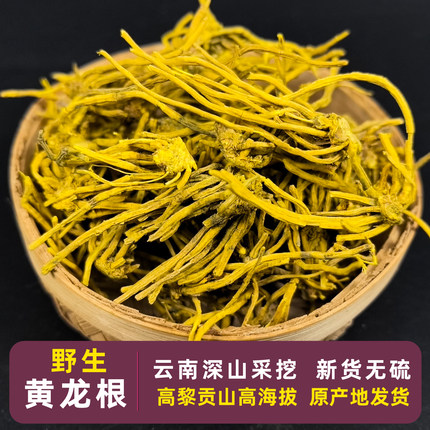 黄龙根 雪山龙须石斛 云南黄龙草根 金龙须  中药材 雪灵茶 新货