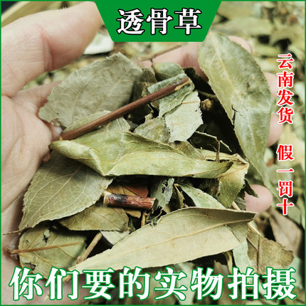 云南野生透骨草500g中药材透当季新货农家自晒大骨草药另售伸筋草