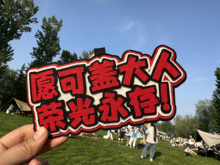 任天堂塞尔达传说周边毛毡挂件创意礼品书包挂饰长度19cm左右