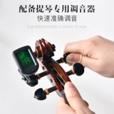 Taishi Professional Test Performance Word Hardmade Birec Ancomer Recure рекомендует высокие показатели