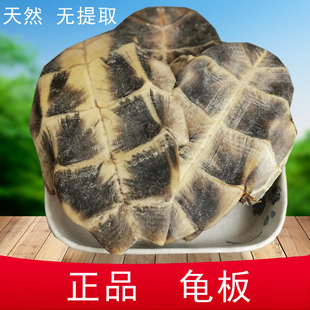 龟板中药材 生龟板 龟甲中药 无硫龟下甲龟底板正品新货