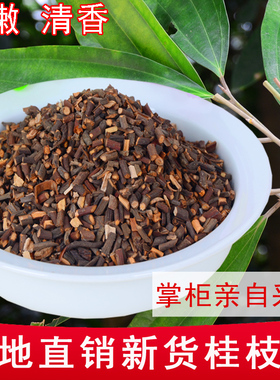 桂枝尖中药材 精品无硫桂枝广西野生老树桂枝细嫩香桂枝汤原料