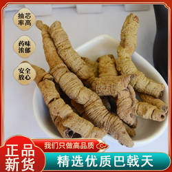 巴戟 肇庆高要抽芯巴戟天 另有制巴戟可搭配杜仲熟地枸杞