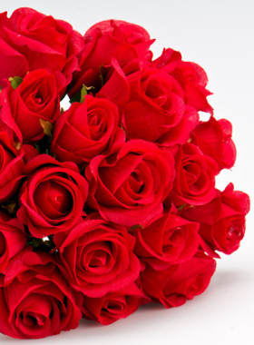 切花月季苗卡罗拉玫瑰月季花店红色玫瑰花种苗多季花卉盆栽地栽