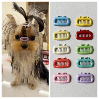 彩色滴油bb夹不锈钢底夹不用洗