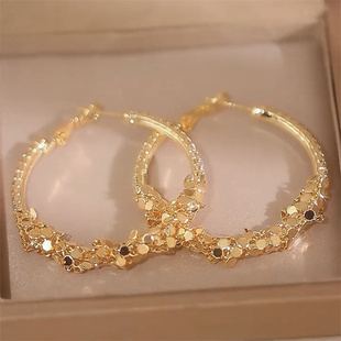 金色碎银子亮片大耳圈新款爆款圆圈圈耳环轻奢高级感耳钉独特耳饰
