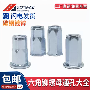 碳钢铁镀锌蓝白锌拉铆螺母平头小沉头全半六角加长拉卯GB17880.5