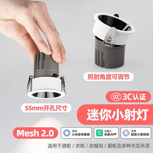 已接入米家APP智能星空顶小射灯