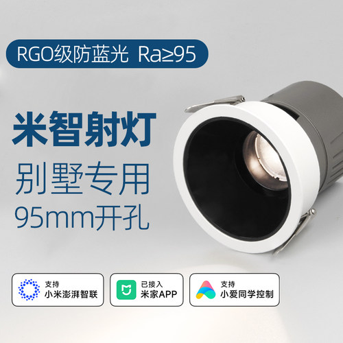 已接入米家APP智能高亮大射灯