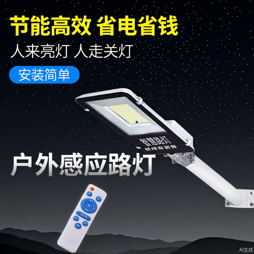 220V户外路灯人体感应接电感应灯