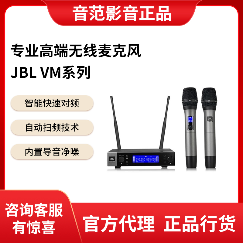 JBL VM200 VM300 一拖二无线麦克风家用KTV会议演讲舞台演出话筒