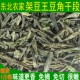 干豆角段 包邮 免摘 干菜干货农家菜一斤 免切 新货架豆王豆角干
