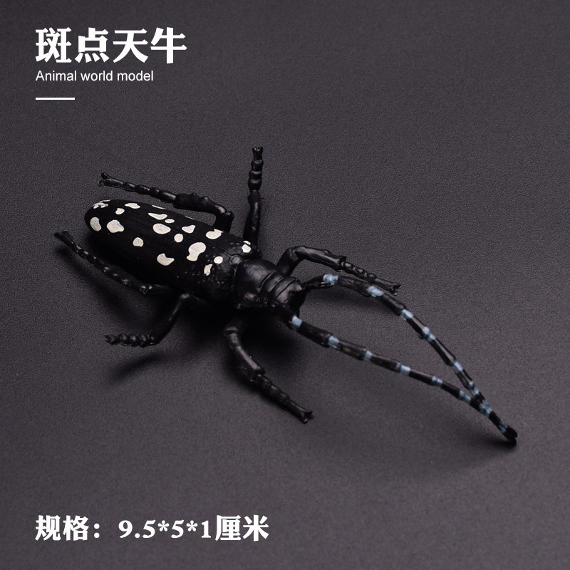 儿童仿真野生动物玩具模型昆虫动物天牛非洲大天牛玩具模型