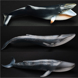 儿童礼物仿真海洋动物玩具模型3-6岁鲸鲨蓝鲨虎鲨蓝鲸虎鲸鲨鱼