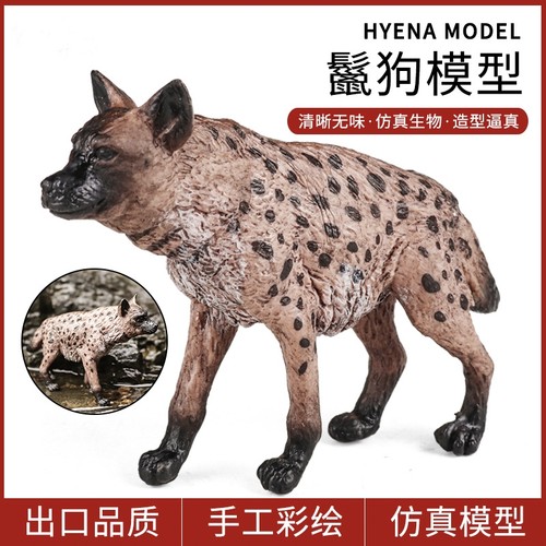 奥兰奇野狗鬣狗非洲土狼模型PVC