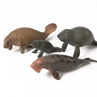 儿童仿真海洋海底生物海牛儒艮海象海狮海狗海豹男女孩礼物3-6岁