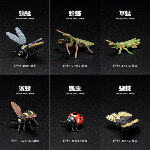 儿童仿真野生动物螳螂