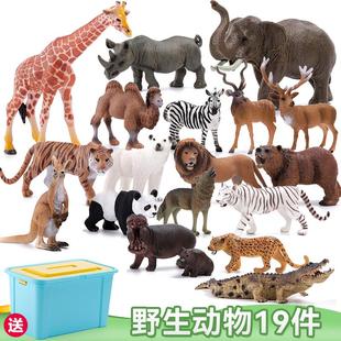 奥兰奇仿真野生动物套餐狮虎斑马袋鼠豹羊骆驼犀牛马儿童玩具模型