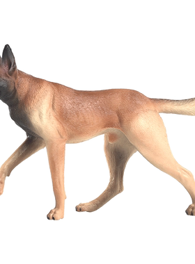 狼狗萨摩耶威玛猎犬泰迪藏獒动物