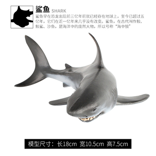 儿童仿真海洋动物玩具模型造景摆件礼物鲨鱼大白鲨巨齿鲨鲸鲨