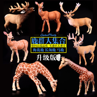 儿童礼物儿童实心仿真野生动物模型玩具套装驯鹿长颈鹿驼鹿麋鹿