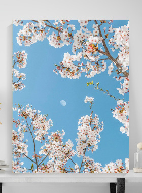 KS色系客厅卧室小幅花卉竖版摆画手工填涂色简单治愈解压数字油画
