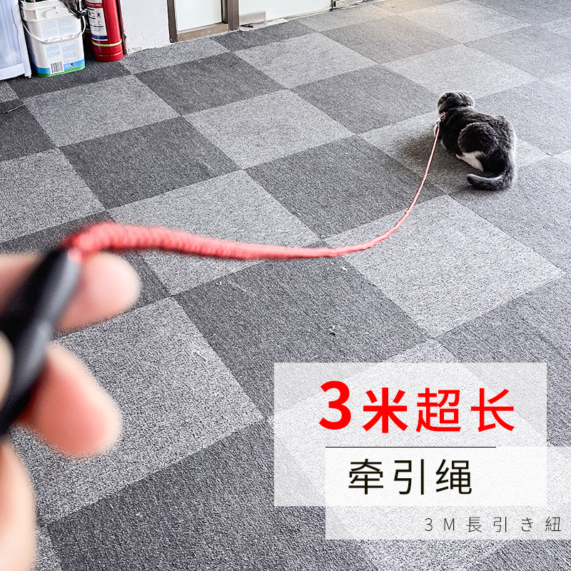 3米加长版猫咪牵引绳带铃铛