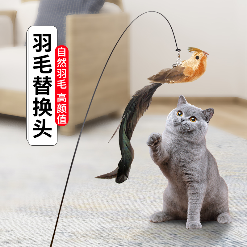 羽毛带铃铛逗猫棒替换头耐咬仿真小鸟逗猫棒英短自嗨解闷猫咪玩具