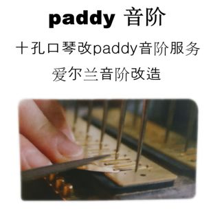 爱尔兰流行音阶 十孔口琴改paddy音阶服务 调音 调琴 维修等服务