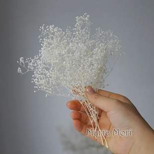 Mini Baby Breath Preserved Flowers For Home Decor DIY Dried