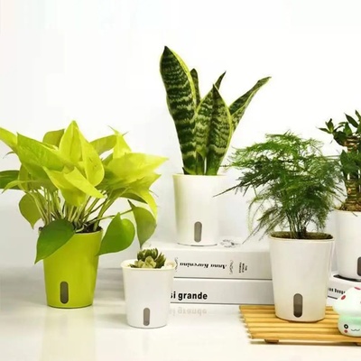 Self Watering Flower Plants Pot Plastic Gardening Flower Pot