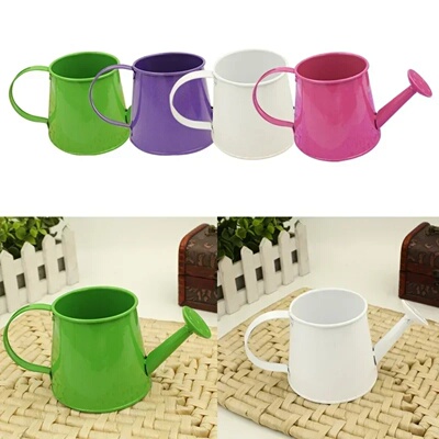 Flower Pot Mini Watering Kettle Tin Flowers Home Decoration