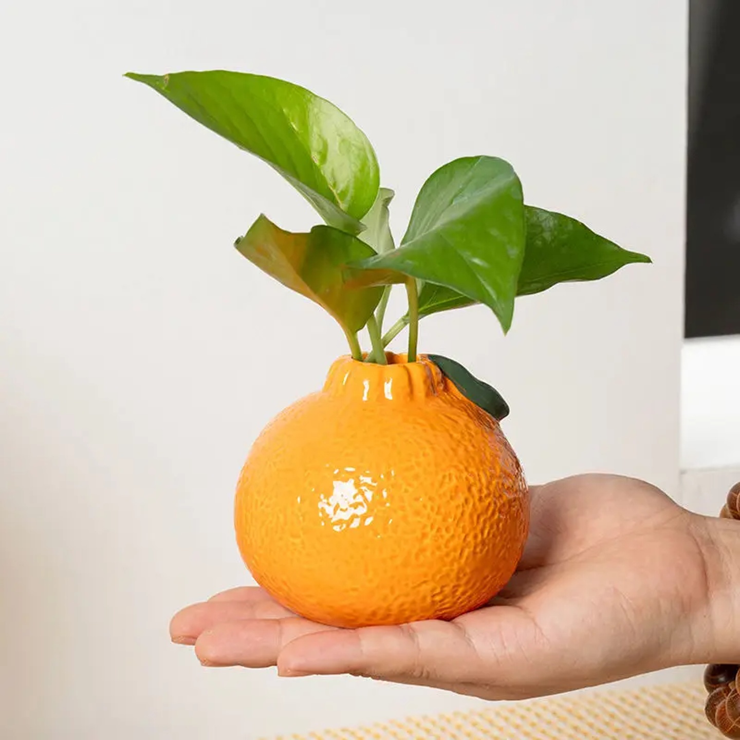 Creative Internet Celebrity Orange Plastic Vase Hydroponic