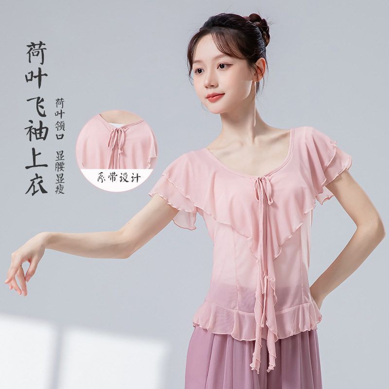 古典舞蹈服女弹力水纱荷叶小飞袖夏修身现代舞形体跳舞演出练功服